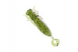 Cиликоновая приманка Larva Lux 1.6 Fanatik цвет 022 02216LL фото